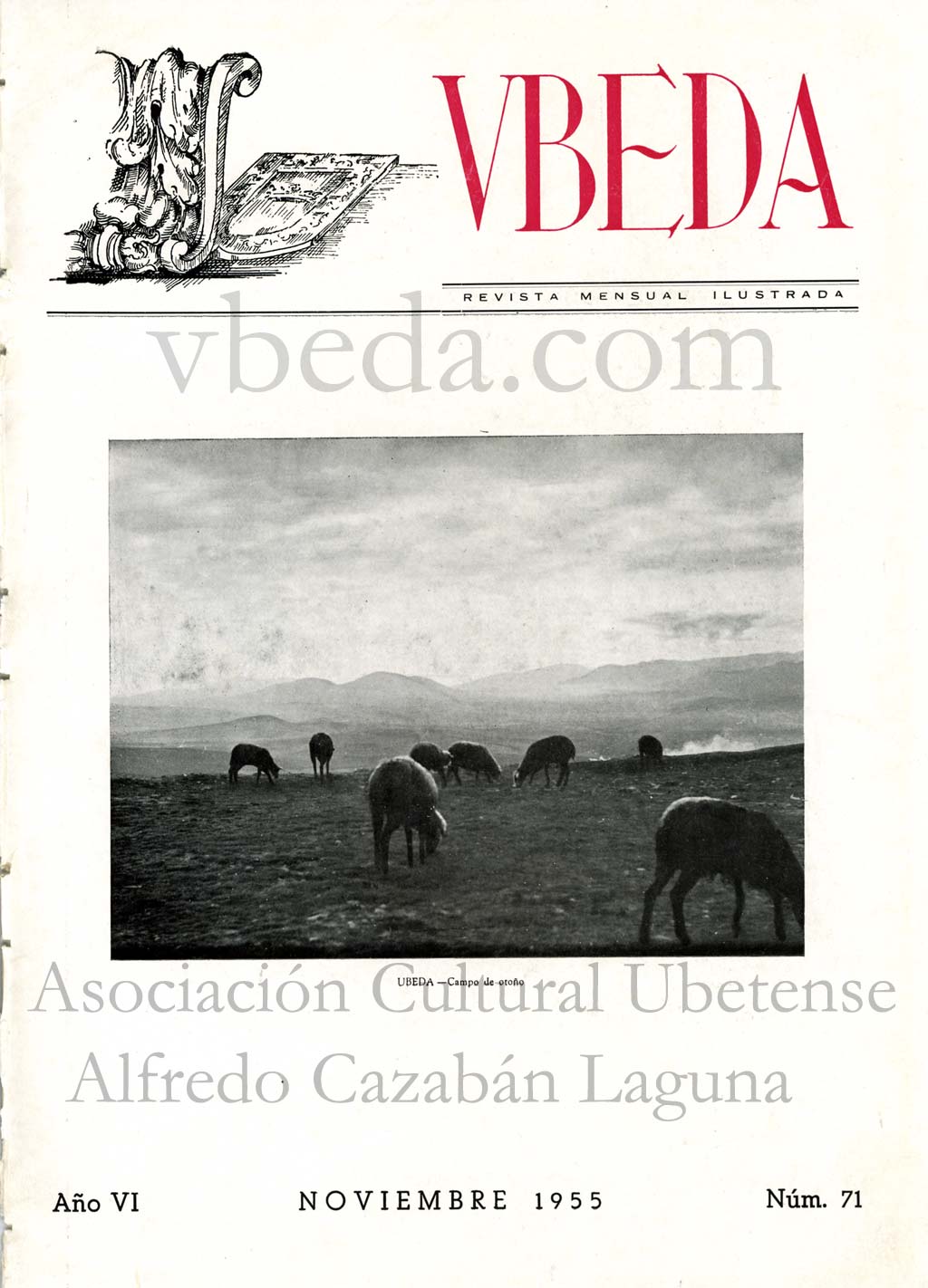 Revista Vbeda. AÃ±o 6. NÂº 71 de noviembre de 1955